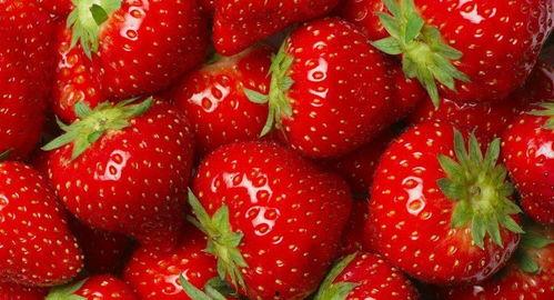 水莓100国产视频,探寻国产影视新高度 第3张 水莓100国产视频,探寻国产影视新高度 第3张